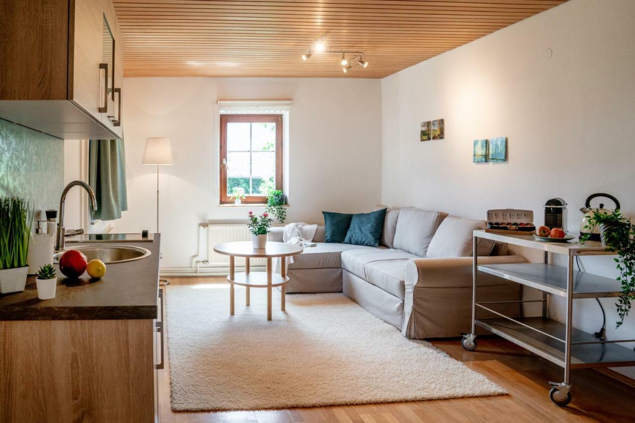 Lakeview Apartment 할슈타트 외부 사진